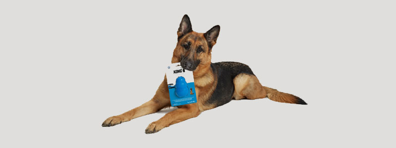 Image: Volkswagen, KONG, and VCA Charities unleash joy with dog toys inspired by the ID. Buzz